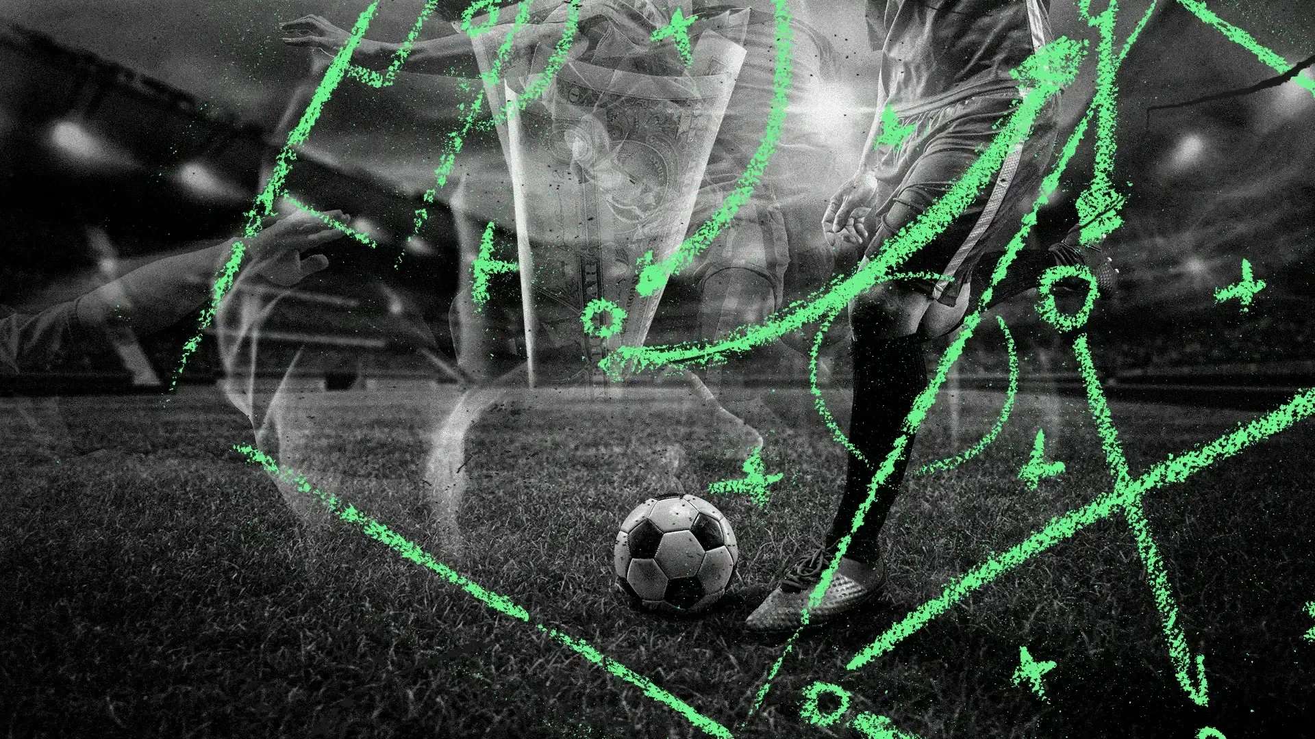 在最近的羽 在最近的羽